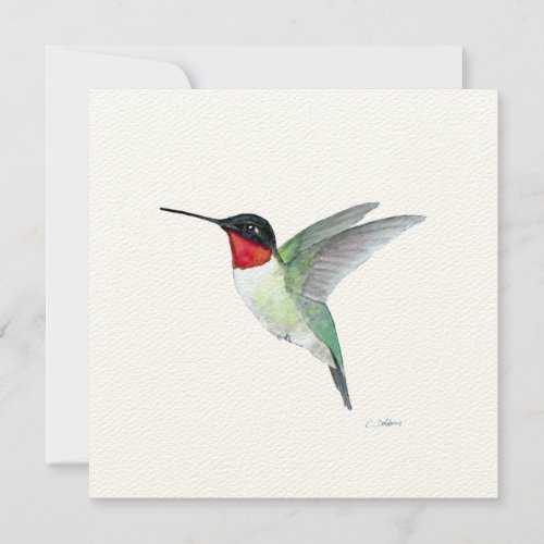 Ruby_throated Hummingbird in Flight Thank You Card