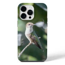 Ruby-Throated Hummingbird