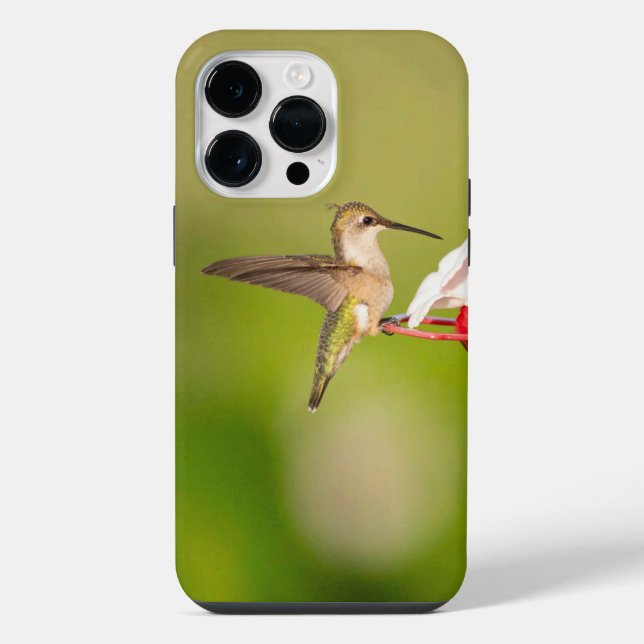 Ruby-Throated Hummingbird IPhone Case #108A0605 (Back)