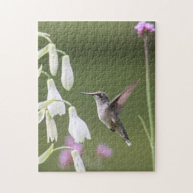 Ruby-throated Hummingbird Jigsaw Puzzle (Vertical)