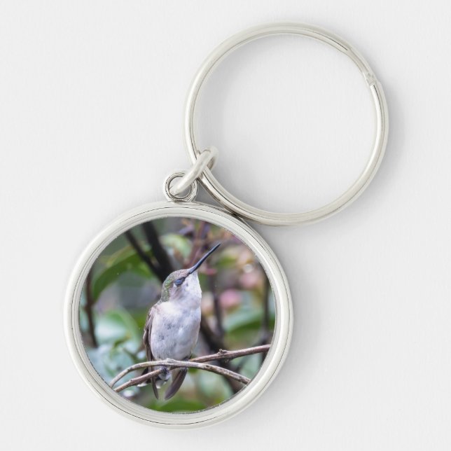Ruby-Throated Hummingbird  Keychain (Front)