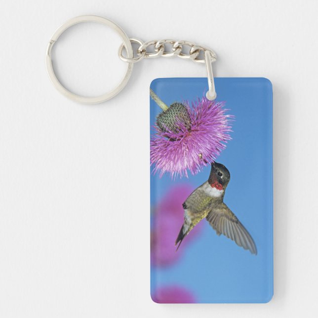 Ruby-throated Hummingbird Keychain (Front)