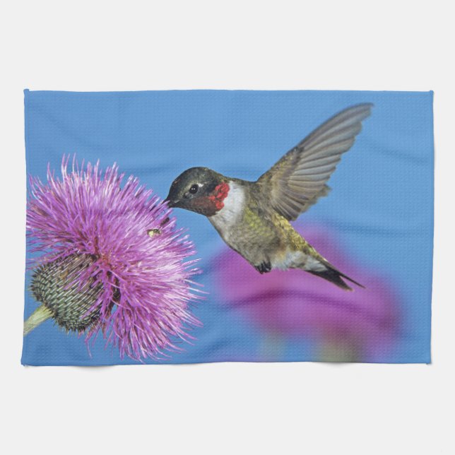 Ruby-throated Hummingbird Kitchen Towel (Horizontal)