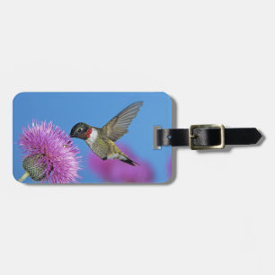 Ruby-throated Hummingbird Luggage Tag