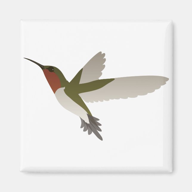Ruby Throated Hummingbird Magnet (Front)