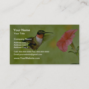 Ruby-throated Hummingbird (male) with petunia Pink Business Card