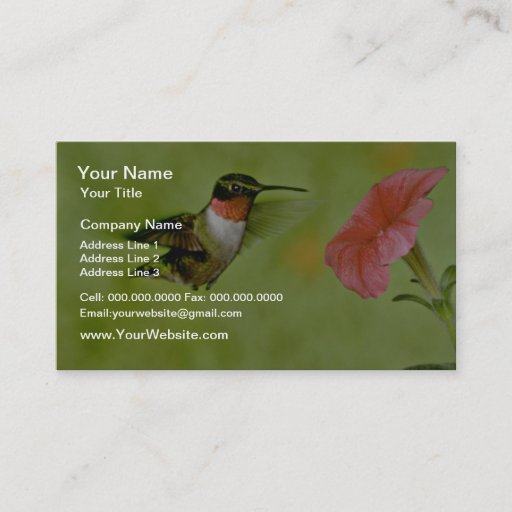 Customizable Ruby-throated Hummingbird (male) with petunia Pink Business Card Templates
