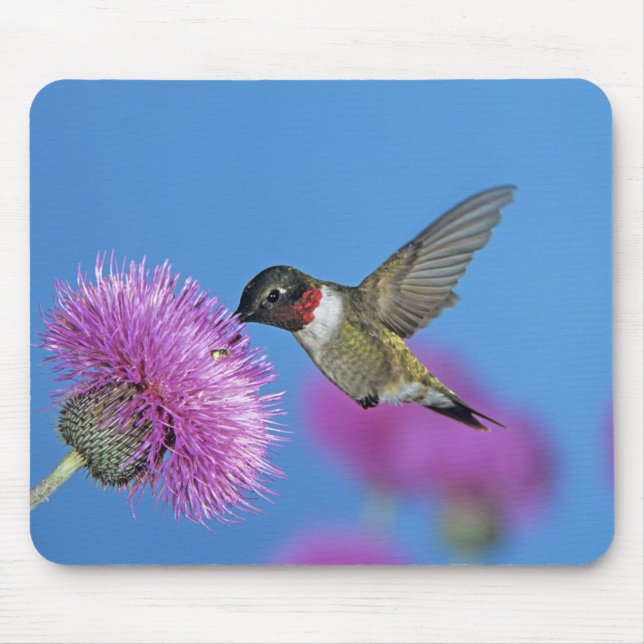 Ruby-throated Hummingbird Mouse Pad (Front)