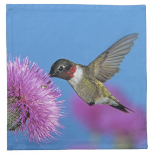 Ruby-throated Hummingbird Napkin