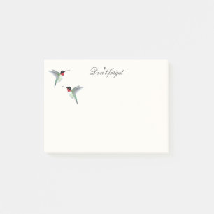 Ruby-throated Hummingbird Notes