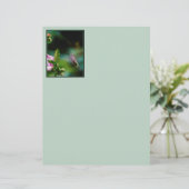 Ruby-throated Hummingbird - Original Photograph (Standing Front)
