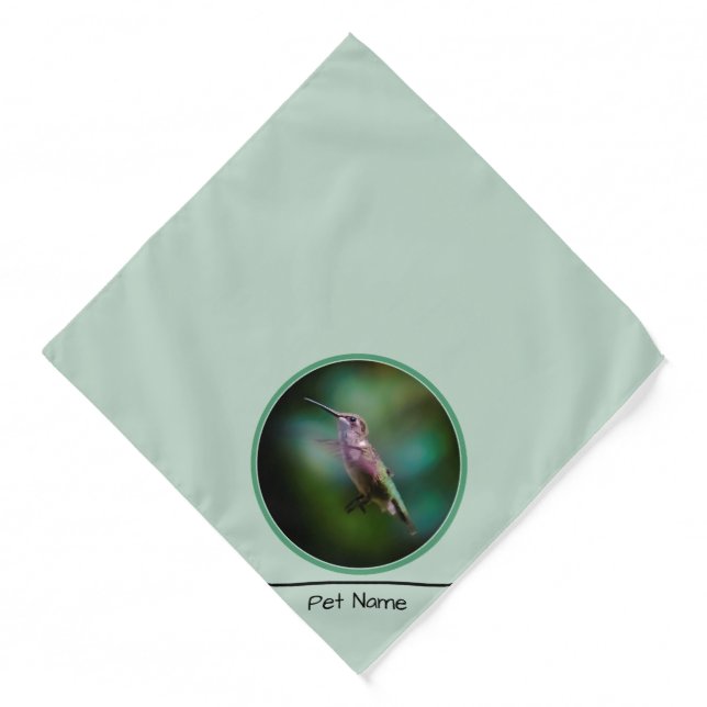 Ruby-throated Hummingbird Original Photograph Bandana (Front)