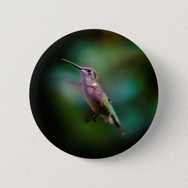 Ruby-throated Hummingbird - Original Photograph Button (Front)
