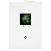 Ruby-throated Hummingbird - Original Photograph Cards (Back)