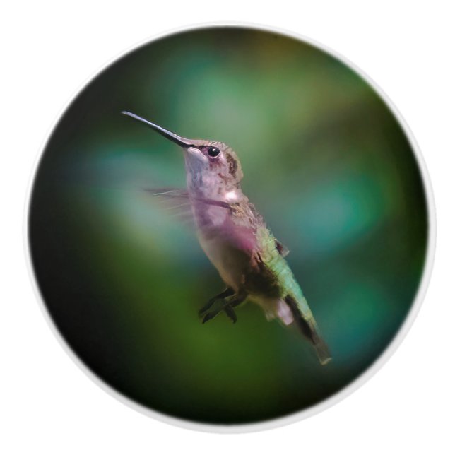 Ruby-throated Hummingbird - Original Photograph Ceramic Knob (Front)