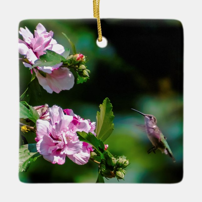 Ruby-throated Hummingbird - Original Photograph Ceramic Ornament (Front)