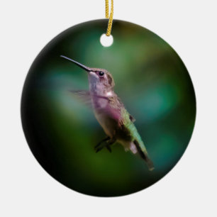 Ruby-throated Hummingbird - Original Photograph Ceramic Ornament