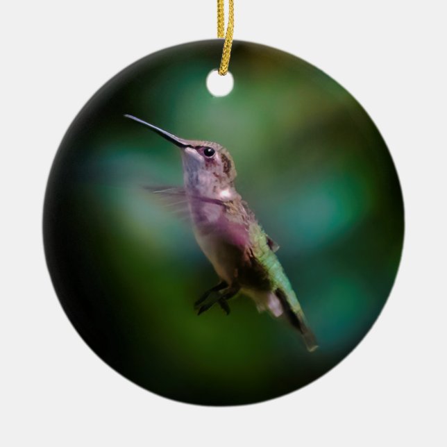 Ruby-throated Hummingbird - Original Photograph Ceramic Ornament (Front)