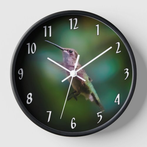 Ruby_throated Hummingbird _ Original Photograph Clock