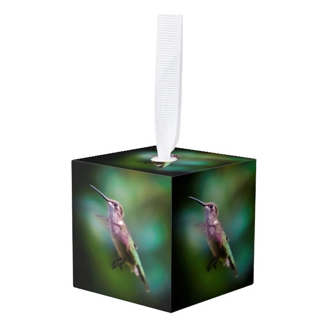 Ruby-throated Hummingbird - Original Photograph Cube Ornament (Front Angled)