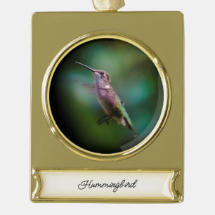 Ruby-throated Hummingbird - Original Photograph Gold Plated Banner Ornament