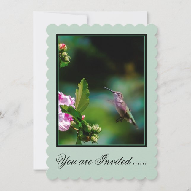 Ruby-throated Hummingbird - Original Photograph Invitation (Front)