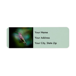 Ruby-throated Hummingbird - Original Photograph Label
