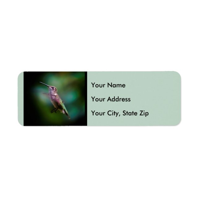 Ruby-throated Hummingbird - Original Photograph Label (Front)