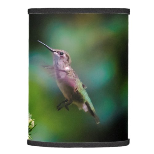 Ruby_throated Hummingbird _ Original Photograph Lamp Shade