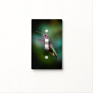 Ruby-throated Hummingbird - Original Photograph Light Switch Cover