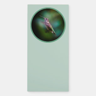 Ruby-throated Hummingbird - Original Photograph Magnetic Notepad
