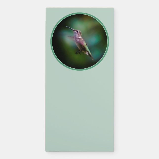 Ruby-throated Hummingbird - Original Photograph Magnetic Notepad (Front)