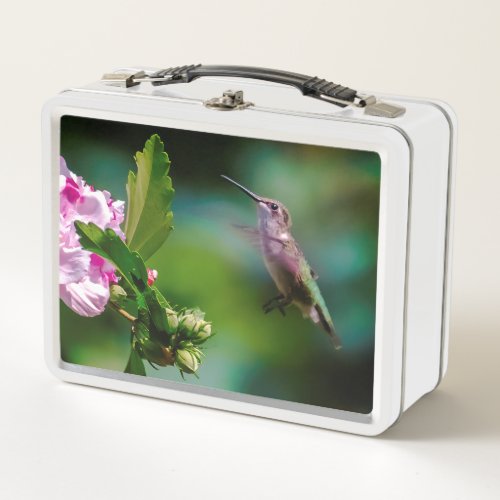 Ruby_throated Hummingbird _ Original Photograph Metal Lunch Box