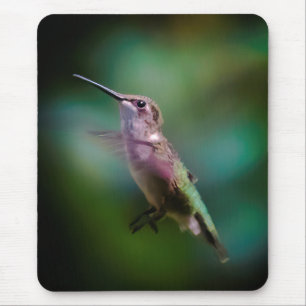 Ruby-throated Hummingbird - Original Photograph Mouse Pad