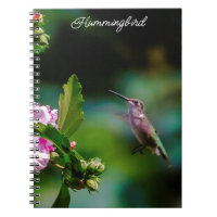 Ruby-throated Hummingbird - Original Photograph