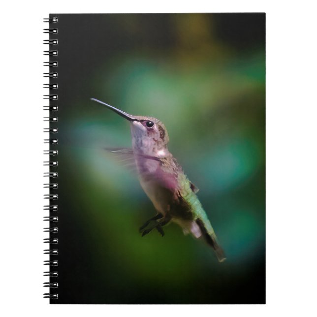 Ruby-throated Hummingbird - Original Photograph Notebook (Front)