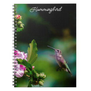 Ruby-throated Hummingbird - Original Photograph Notebook