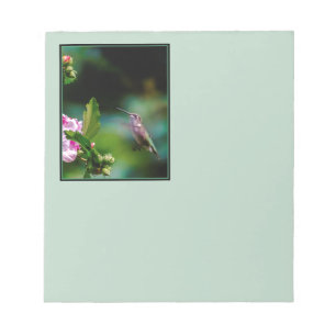 Ruby-throated Hummingbird - Original Photograph Notepad