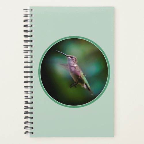 Ruby_throated Hummingbird _ Original Photograph Planner