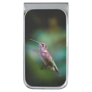 Ruby-throated Hummingbird - Original Photograph Silver Finish Money Clip
