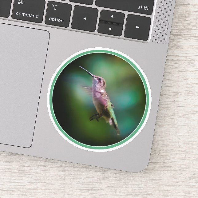 Ruby-throated Hummingbird - Original Photograph Sticker (Detail)