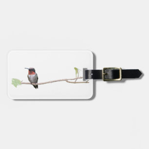 Ruby-Throated Hummingbird, Personalized  Luggage Tag