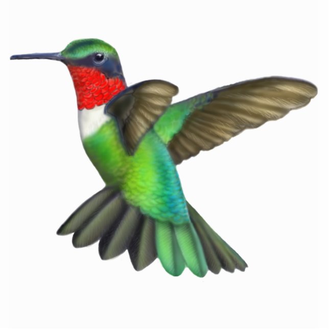 Ruby Throated Hummingbird Photo Sculpture (Front)