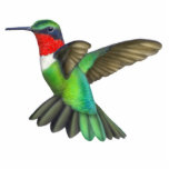 Ruby Throated Hummingbird Pin Statuette<br><div class="desc">Original fine art design of a male Ruby Throated Hummingbird by artist Carolyn McFann printed on a quality acrylic pin for bird fans.</div>