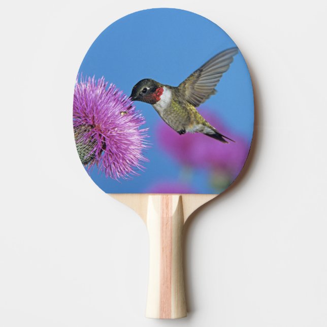 Ruby-throated Hummingbird Ping Pong Paddle (Front)