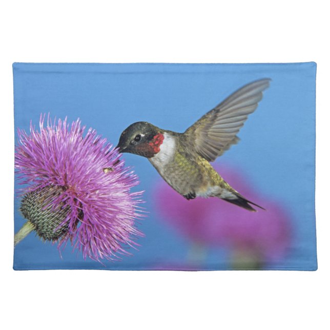 Ruby-throated Hummingbird Placemat (Front)