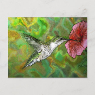 Ruby throated Hummingbird Postcard