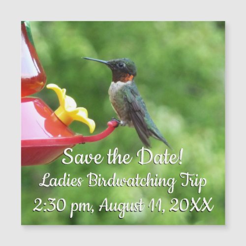 Ruby_Throated Hummingbird Save the Date
