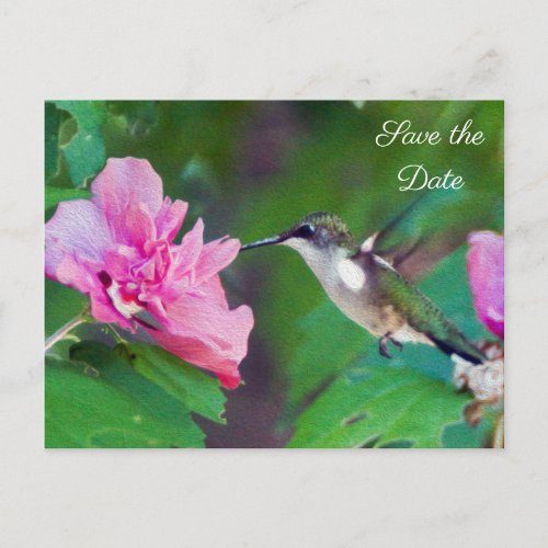 Ruby Throated Hummingbird Save the Date Postcard