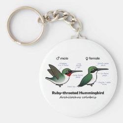 Ruby-throated Hummer Stats Basic Button Keychain